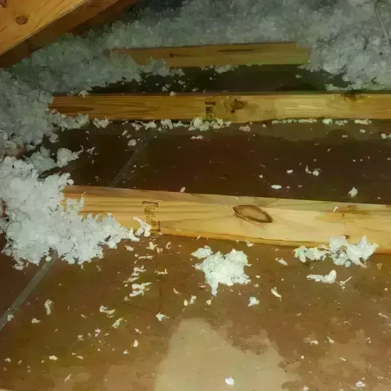 Attic Water Damage in Philadelphia, PA