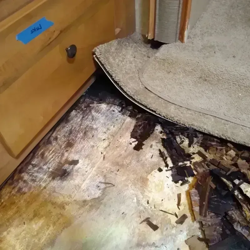 Wood Floor Water Damage in Philadelphia, PA